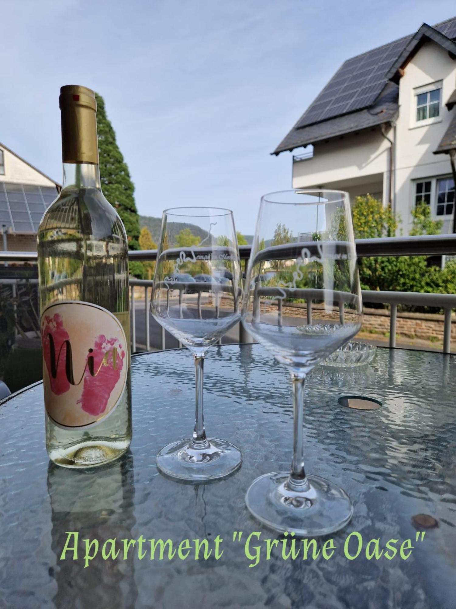엘렌츠폴터스도프 Weingut Im Moselkrampen 아파트 외부 사진